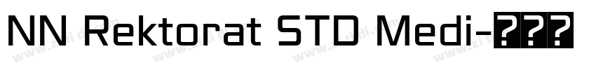 NN Rektorat STD Medi字体转换